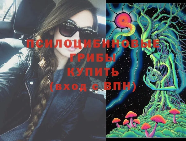 2c-b Абдулино