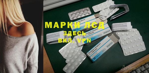 хмурый Тайга