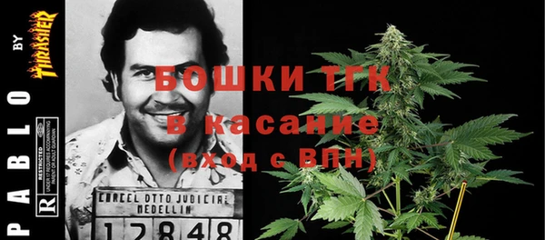 ешки Алзамай